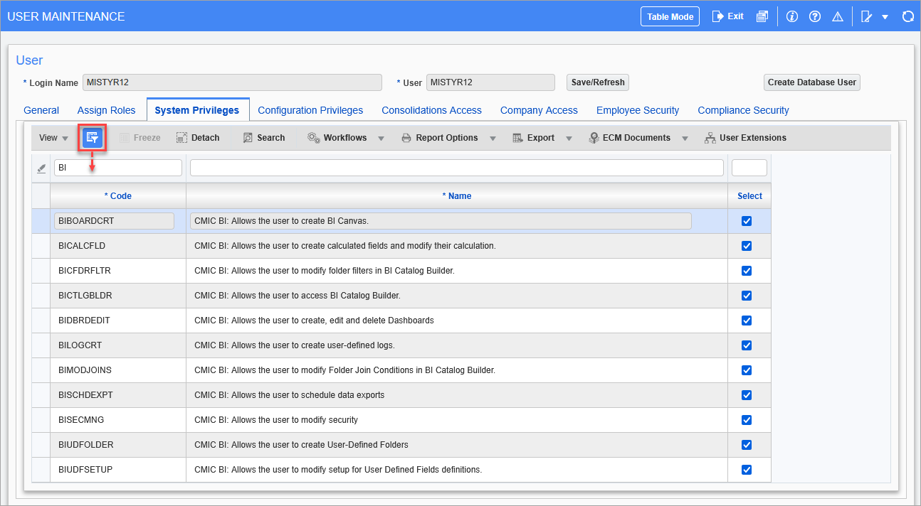 Screenshot of User Maintenance screen with System Privileges tab enabled.