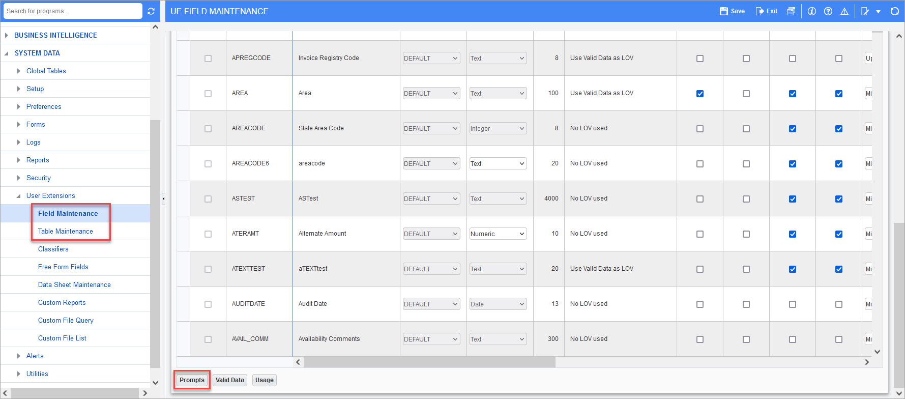 Translation of Prompts for User Extension Fields and Tables