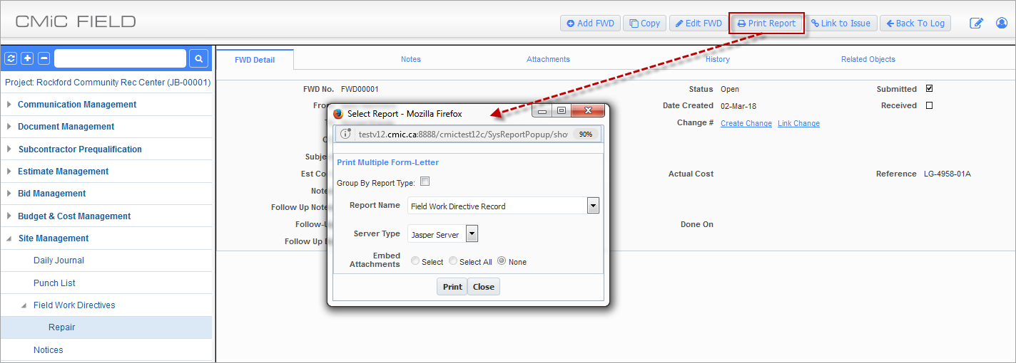 Example of pop-up window launched from the [Print Report] button on the Field Work Directives screen