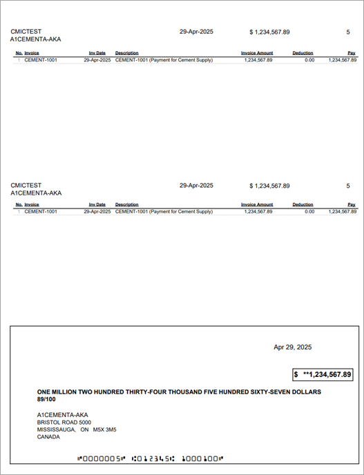Screenshot of Check Format - Double Stub, Version 1 (APCK_ST_DS).