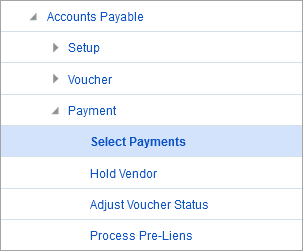 Screenshot of Select Payments in Treeview