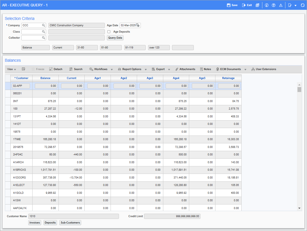 Screenshot of AR Executive Query screen.