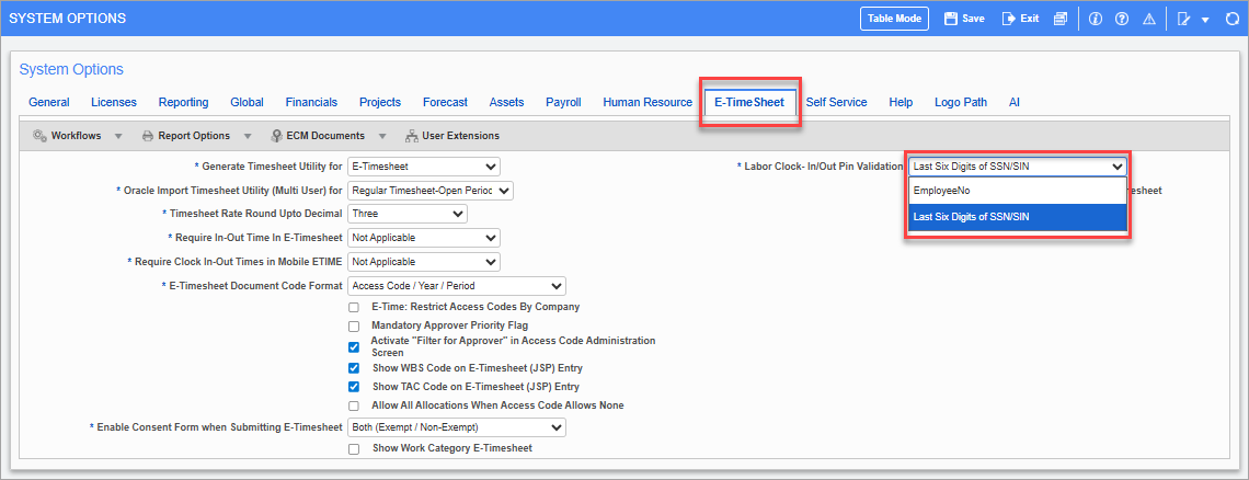 Screenshot of E-Timesheet tab of System Options screen.