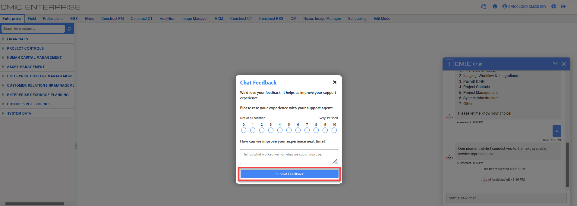 Screenshot of the Chat Feedback pop-up