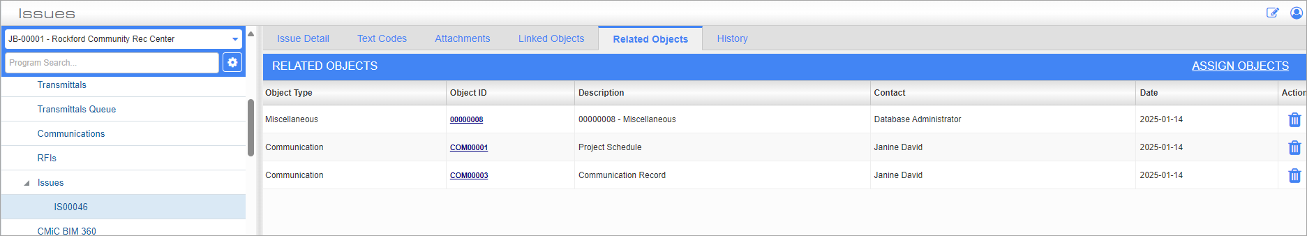 Screenshot of Issues - Related Objects tab.