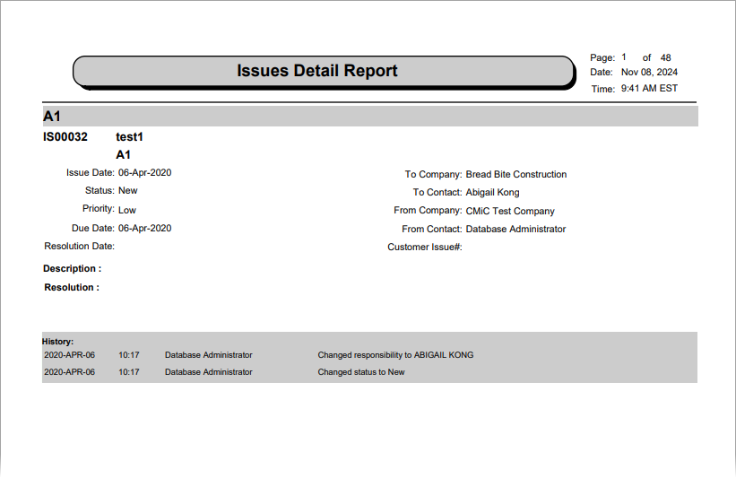 Sample Issues Detail Report.