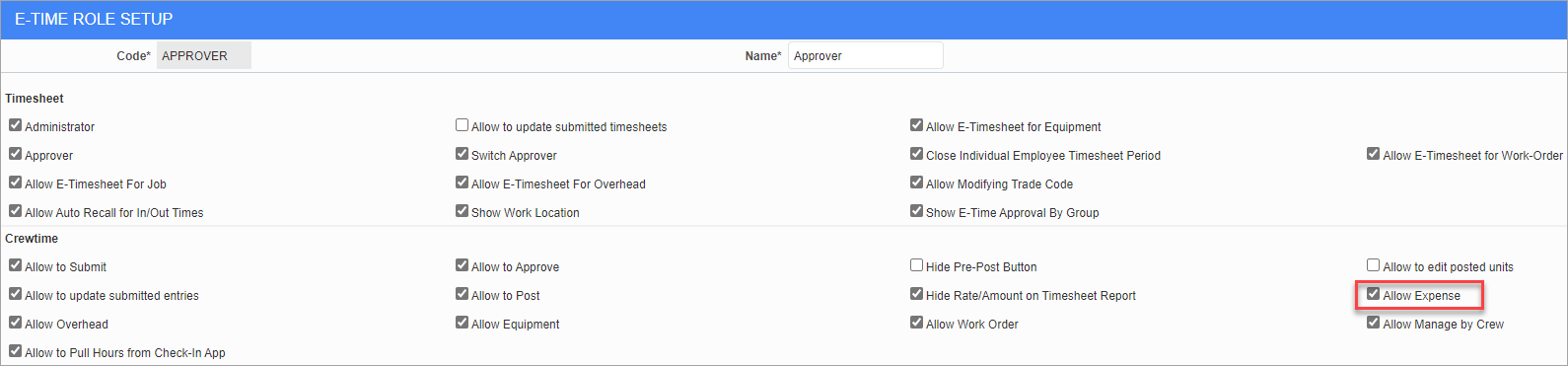 Screenshot of E-Time Role Setup with 'Allow Expense' checkbox highlighted