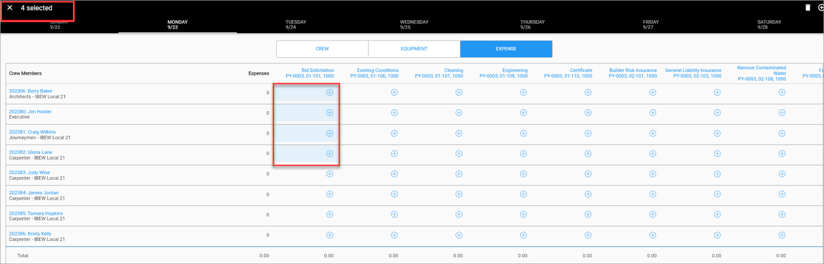 Screenshot of Expense tab with muliple employees selected.