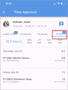 Screenshot of Timesheet Approval screen with Other tab highlighted.