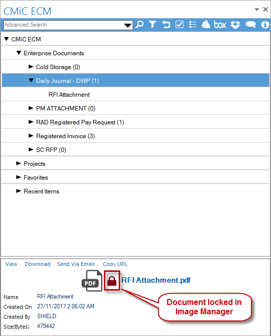 Locking & Checking Out Files