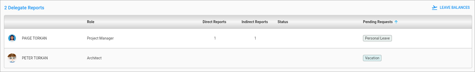 Screenshot of Delegate Reports section of My Team