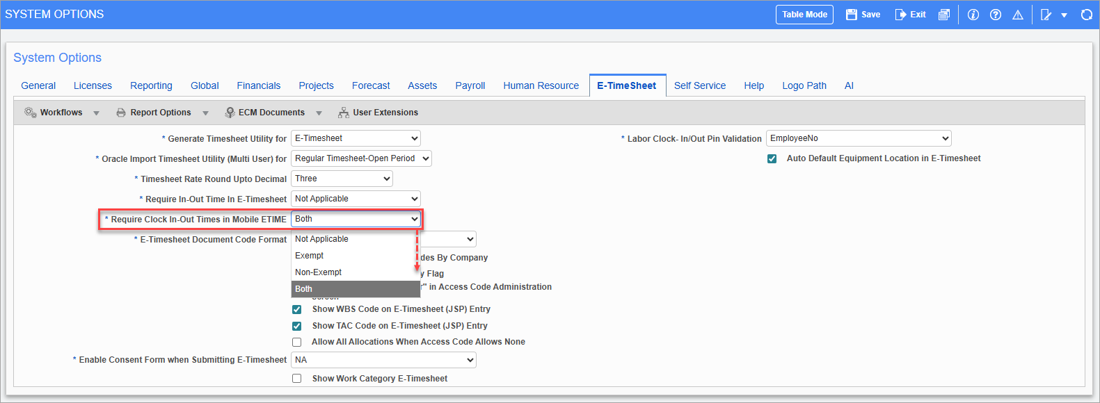 Screenshot of E-Timehseet tab in System Options.