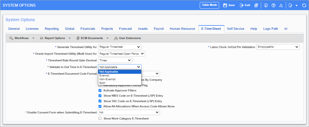 Screenshot of the System Options screen with E-Time Sheet tab enabled.