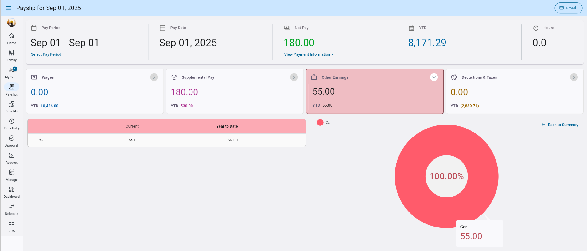 Screenshot of Other Earnings tab.