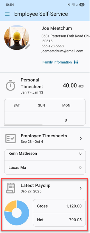 Screenshot of main screen with Payslips section highlighted.