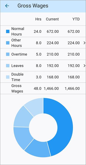 Screenshot of Gross Wages.