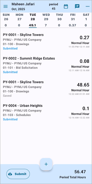 Screenshot of Personal Timesheet.