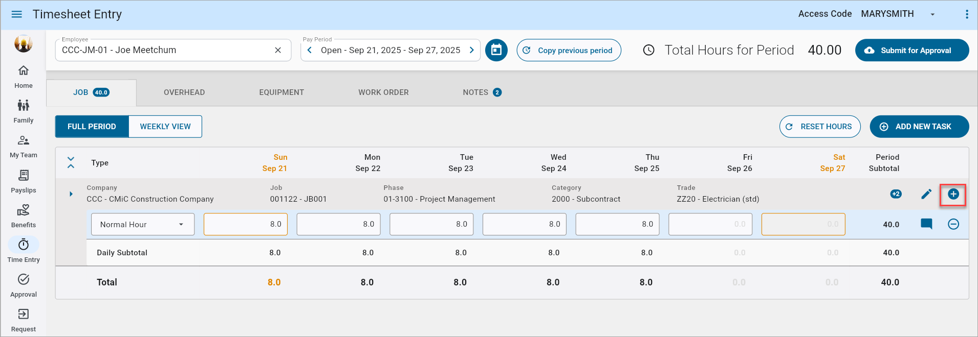 Screenshot of Timesheet Entry screen.