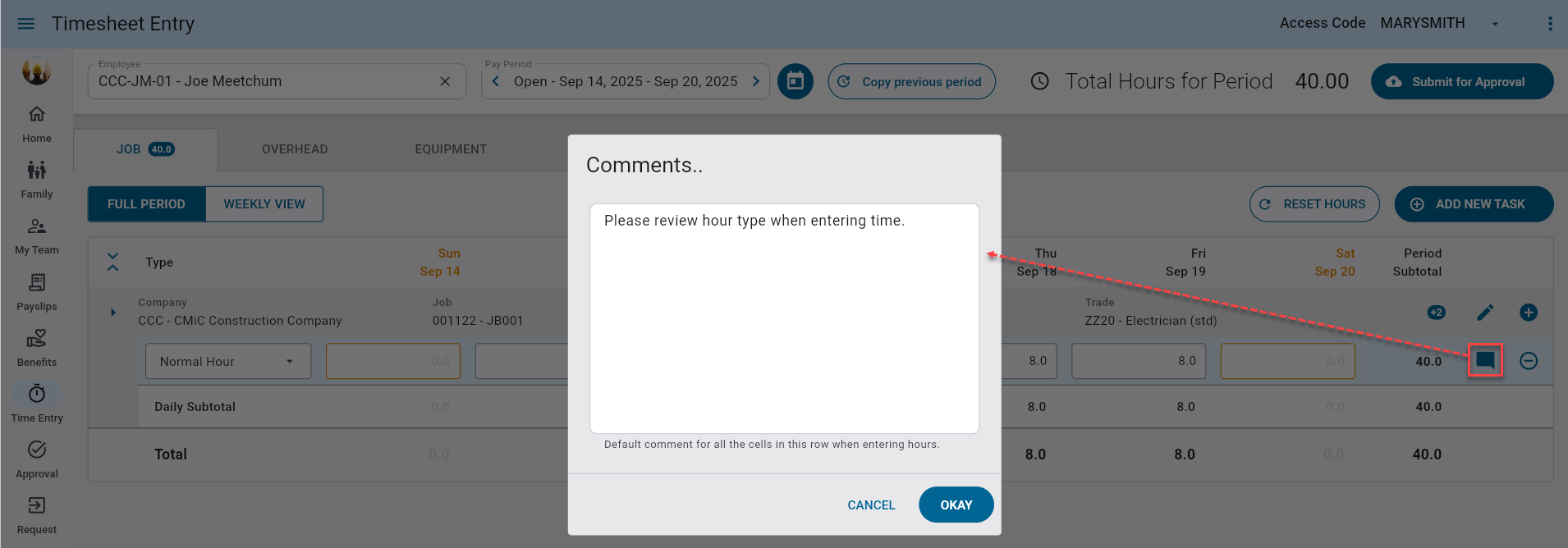 Screenshot of Timesheet Entry screen.