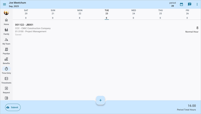 Screenshot of Timesheet Entry screen.