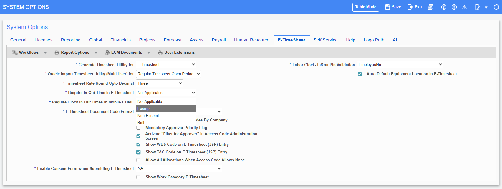 Screenshot of E-Timehseet tab in System Options.