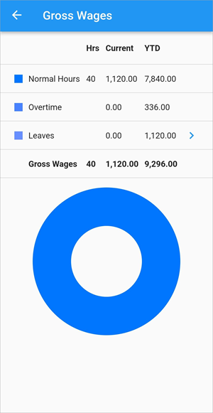 Screenshot of Gross Wages.