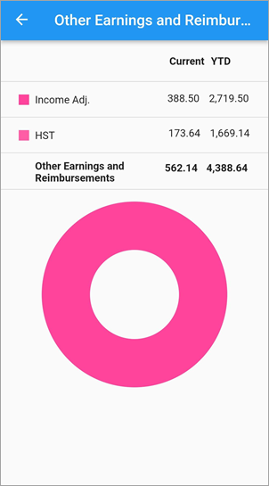 Screenshot of Other Earnings and Reimbursements.