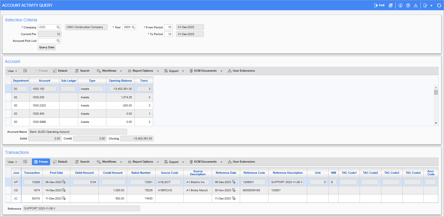 Screenshot of Account Activity Query screen.