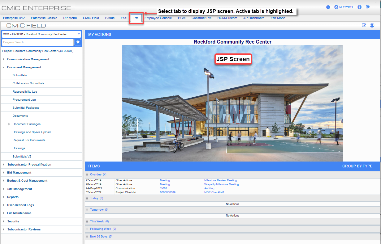 Screenshot of JSP module launched from console tab in Enterprise Console.