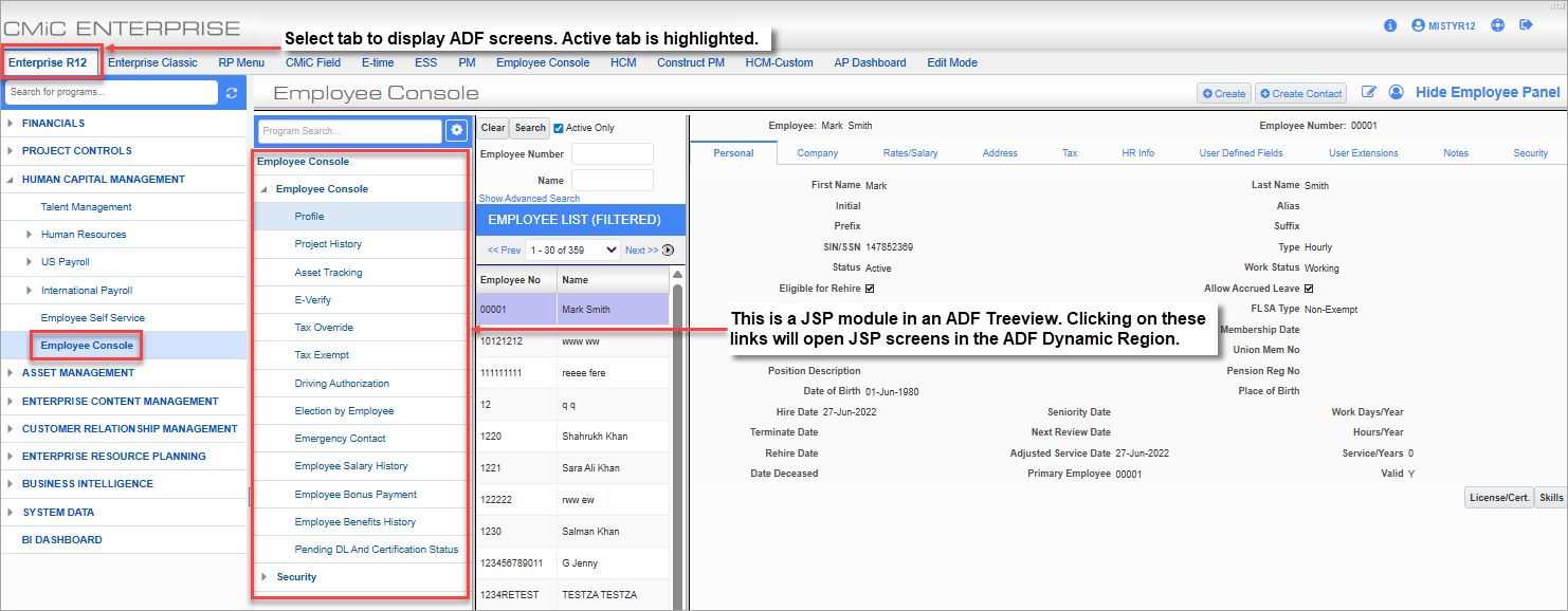 Screenshot of JSP screen launched from ADF Treeview.