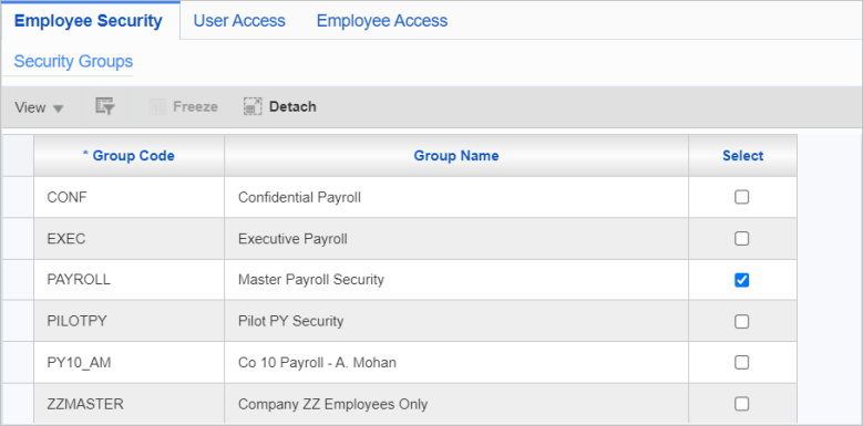 Screenshot of Employee Security tab