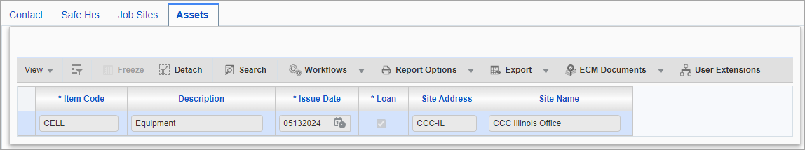 Screenshot of Asset tab