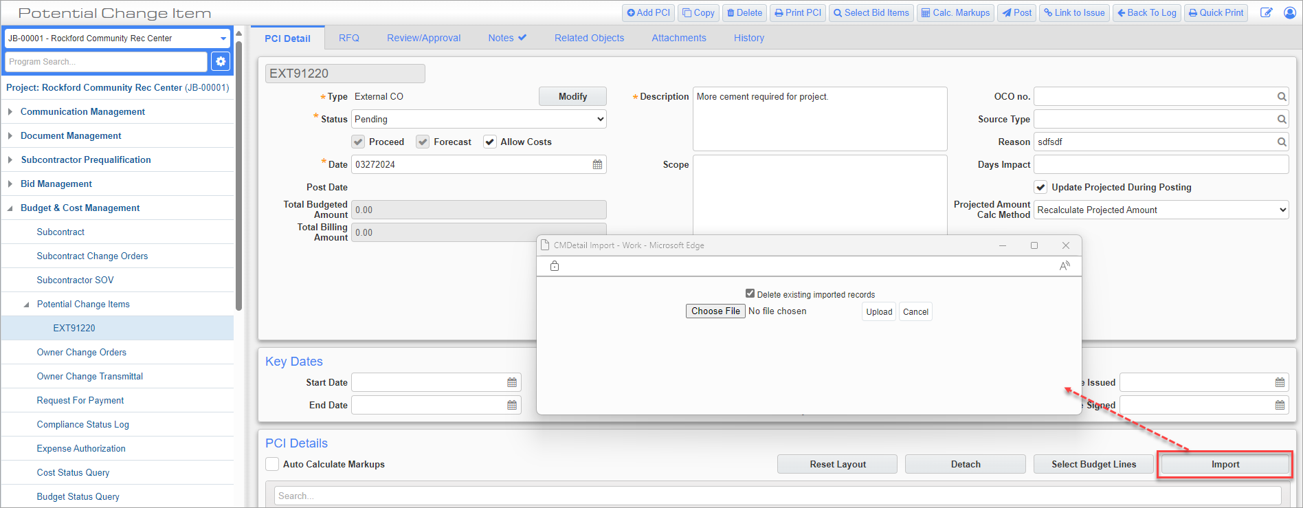 Screenshot of CM Detail Import launched from [Import] button on PCI Detail tab.