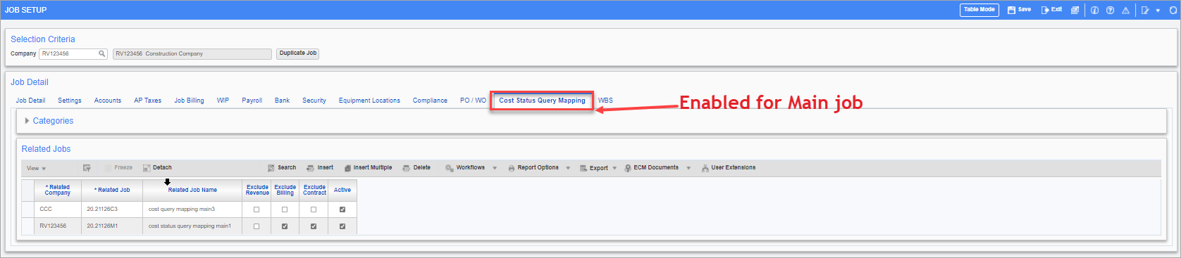 Sample of the Cost Status Query Mapping tab