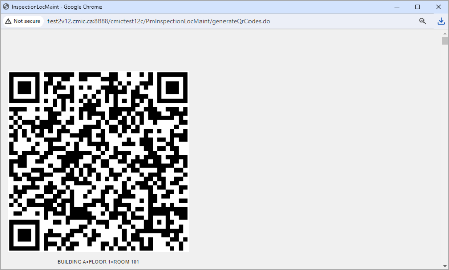 Screenshot of PDF generated containing QR codes.