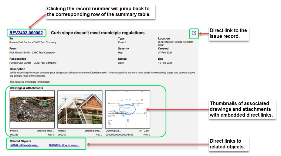 Screenshot of Issue Report's record card.