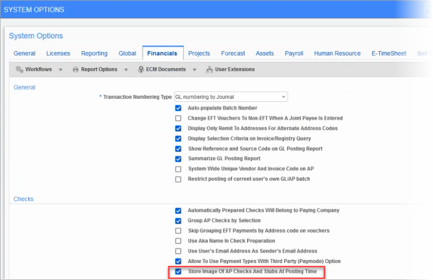 Screenshot of Financials tab of the System Options screen.