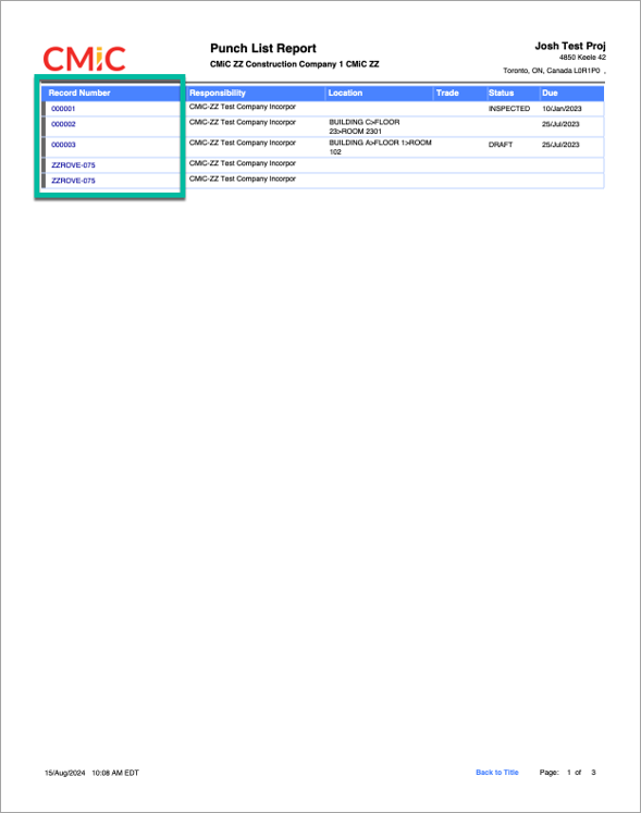 Screenshot of Punch List Report.