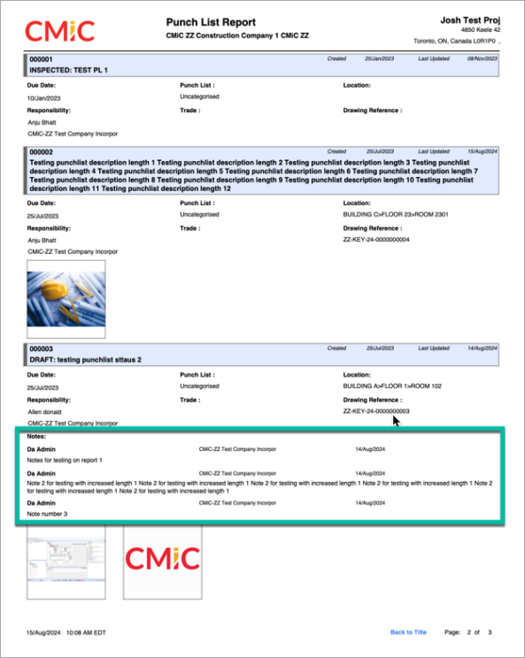 Screenshot of Punch List Report.