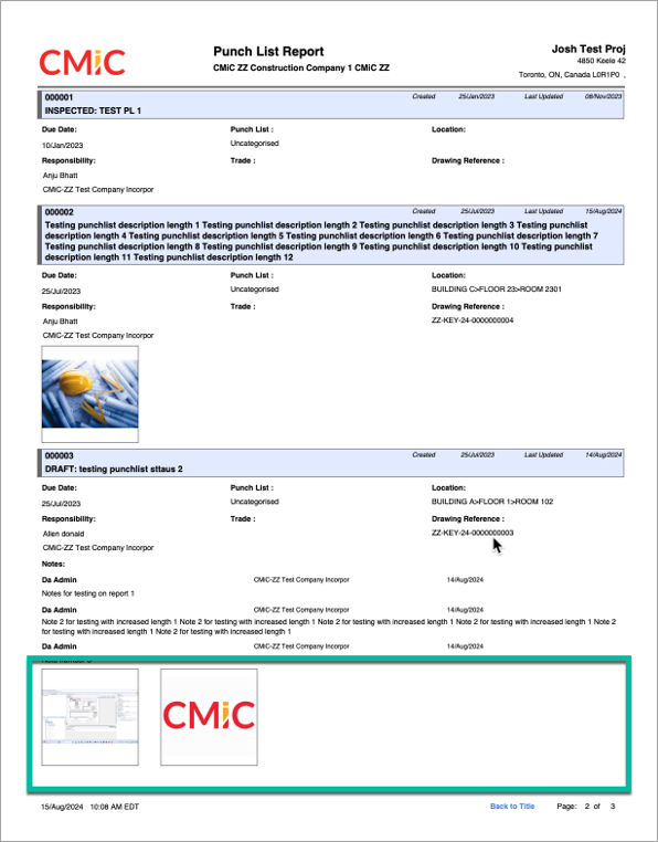 Screenshot of Punch List Report.