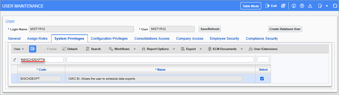 Screenshot of User Maintenance screen with System Privileges tab enabled in System Data module.