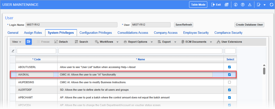 Screenshot of User Maintenance screen with System Privileges tab enabled in the System Data module.