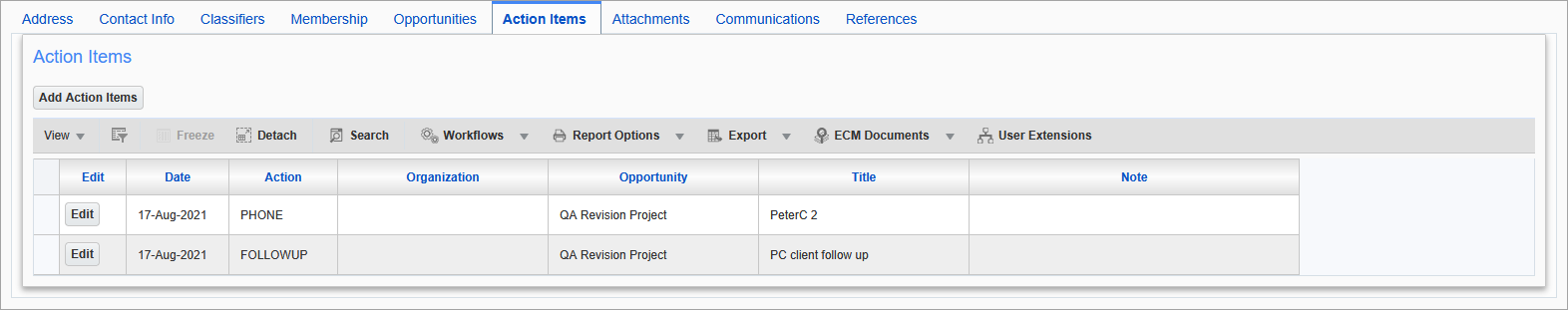 Sample of the Action Items tab on the Contacts screen