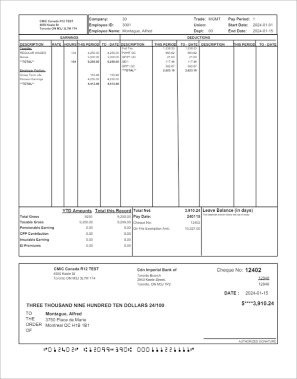 Sample check format