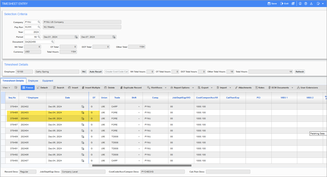 Screenshot of Timesheet Entry.