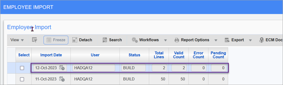 Screenshot of Employee Import screen.