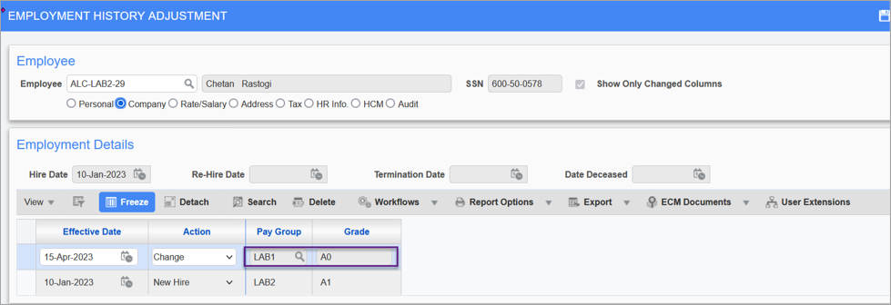 Screenshot of Employment History Adjustment.