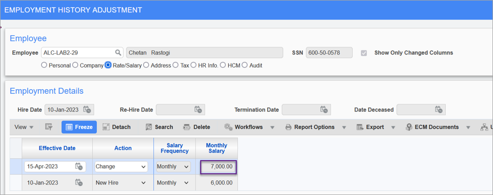 Screenshot of Employment History Adjustment screen.