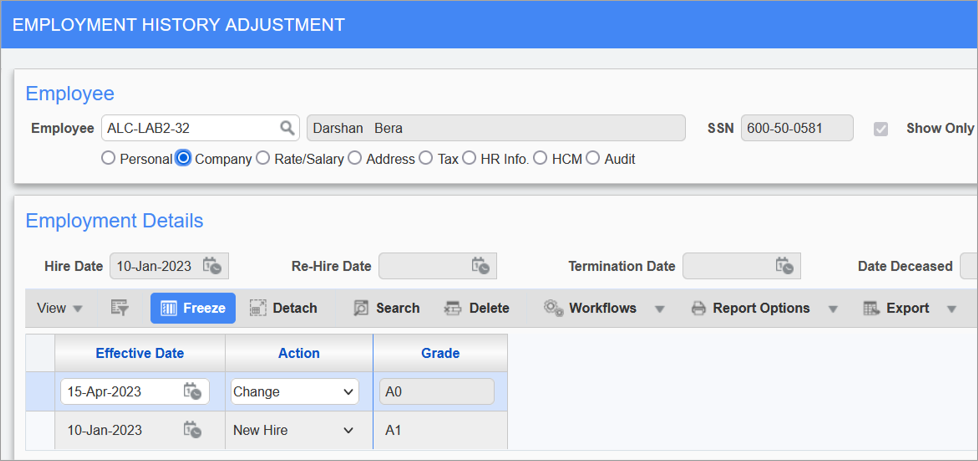 Screenshot of Employement History Adjustment screen.