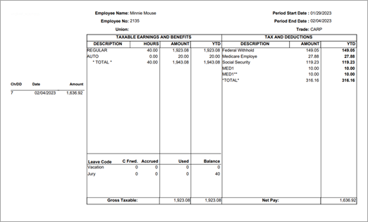 Sample of pay stub